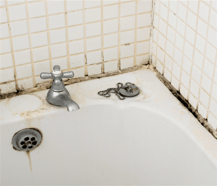 a shower with mold 